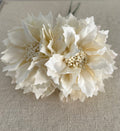DALIA  CRUDA NIÑA
