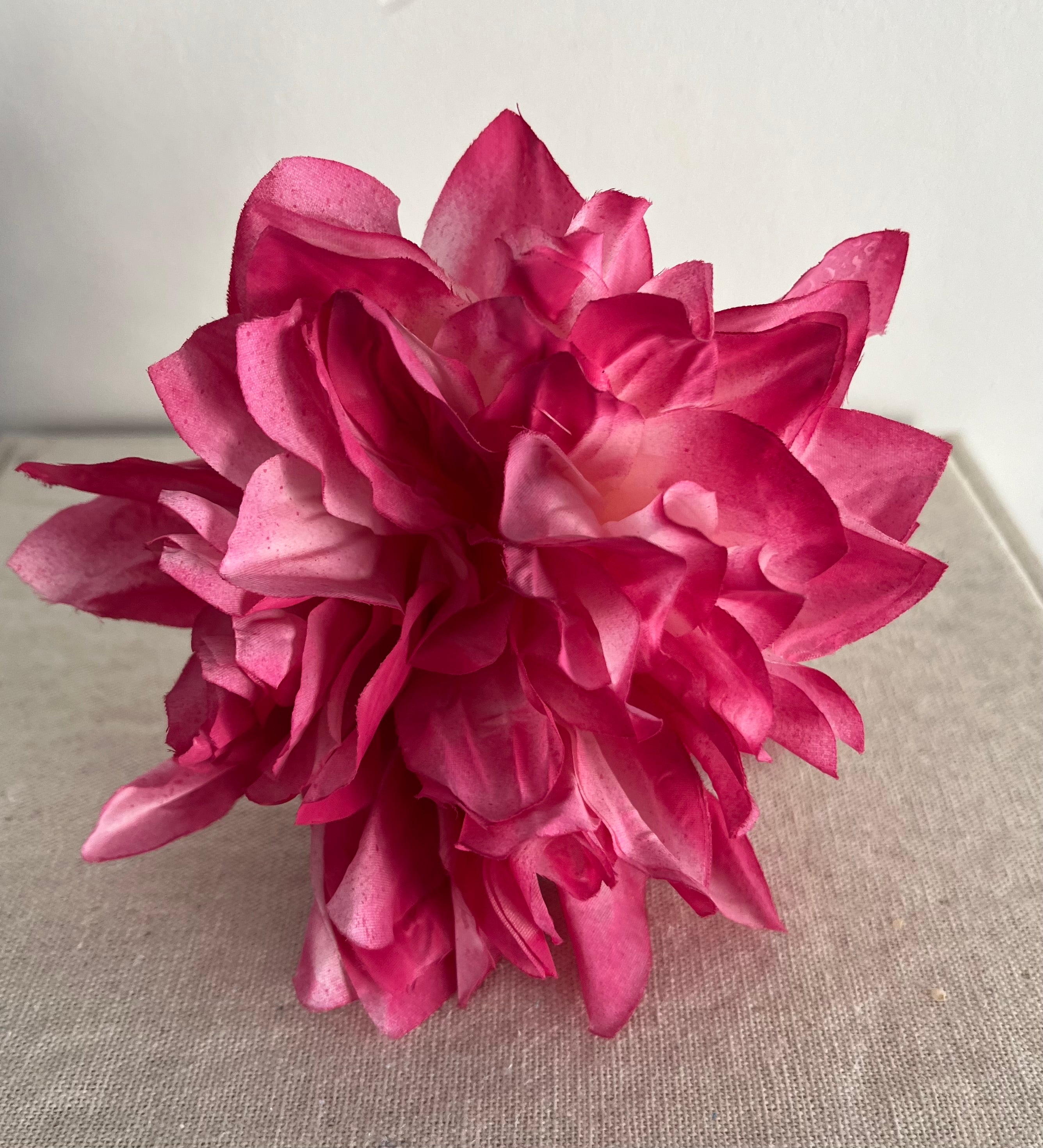 FLOR DALIA ROSA