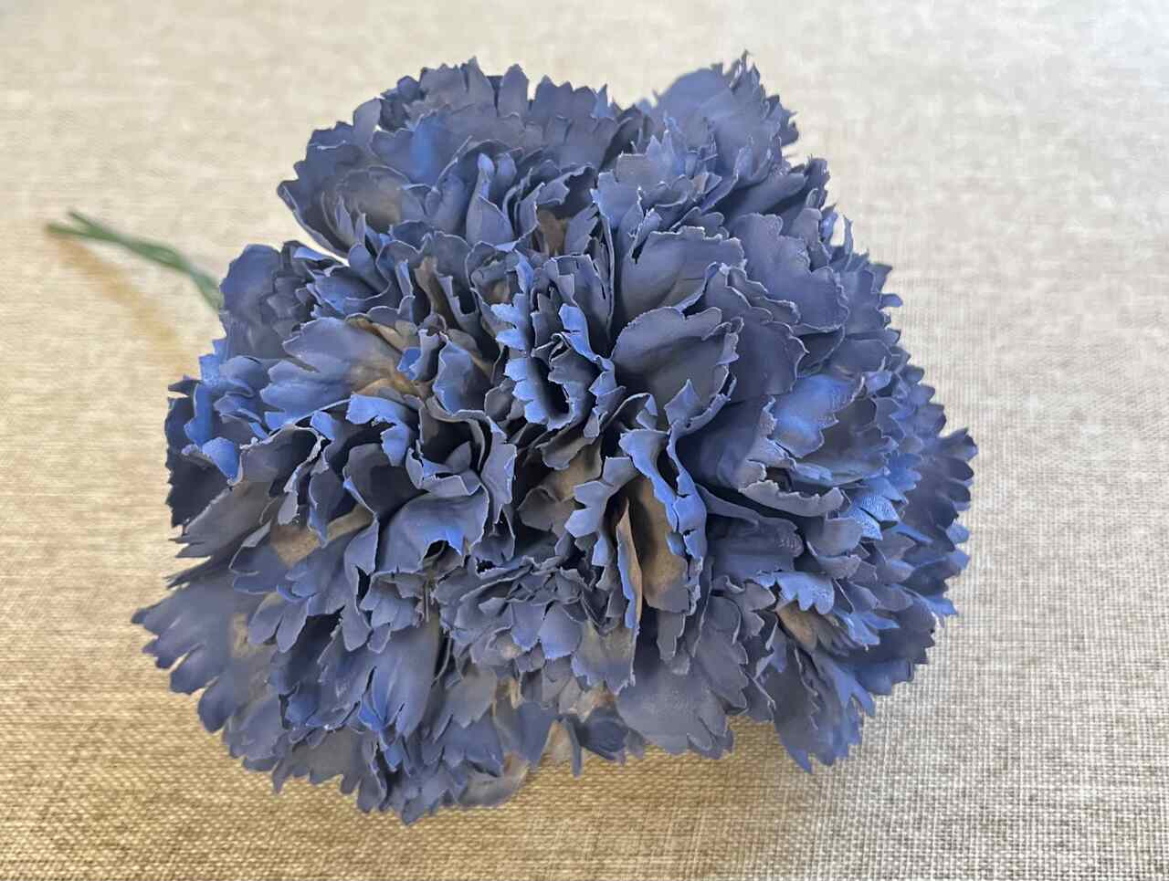 CLAVEL AZUL DUCADOS