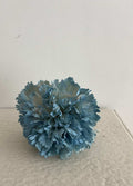 CLAVEL AZUL TIZA