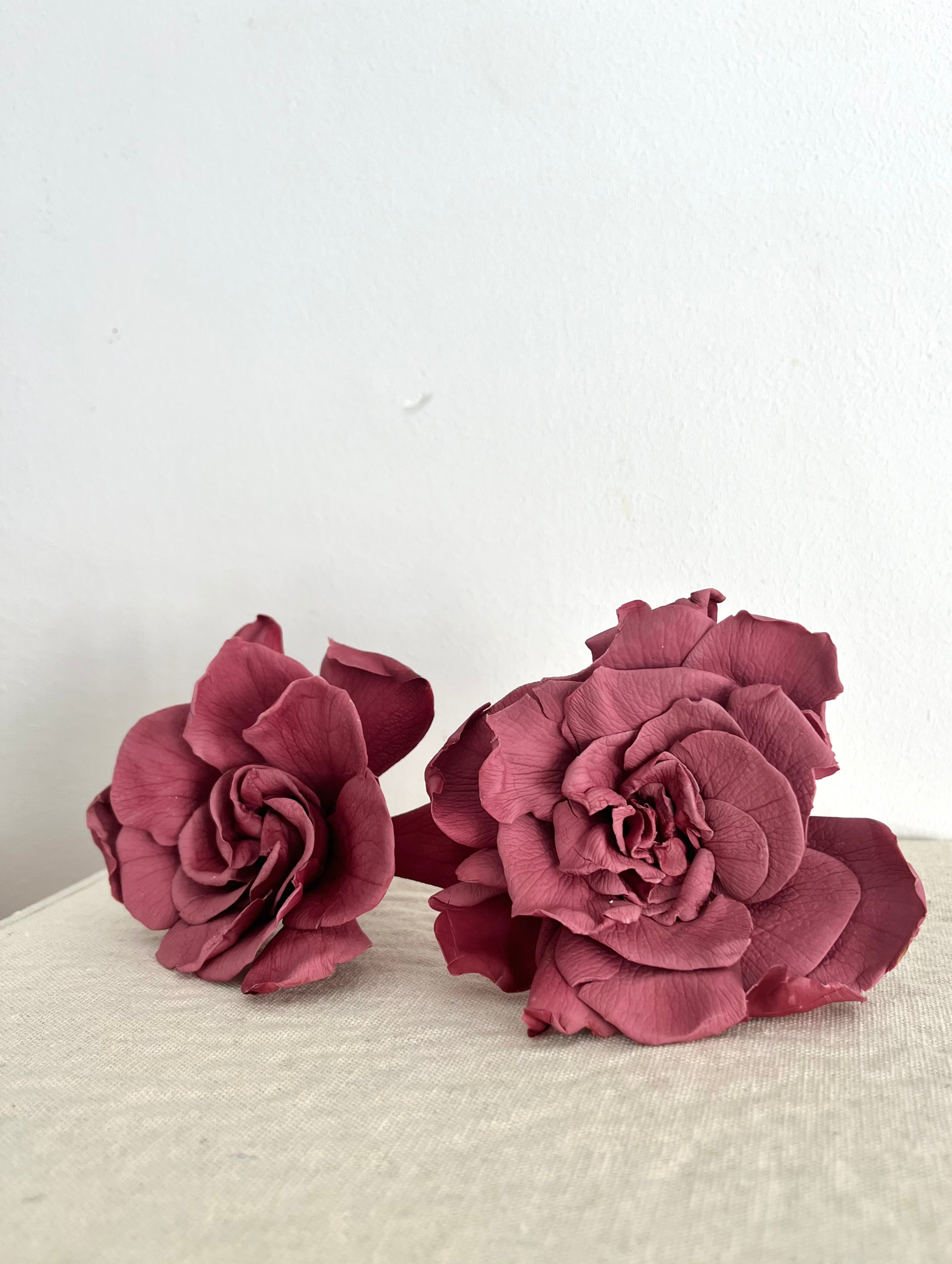GARDENIAS ROSA VINTAGE