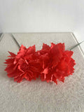 DALIA NIÑA CORAL