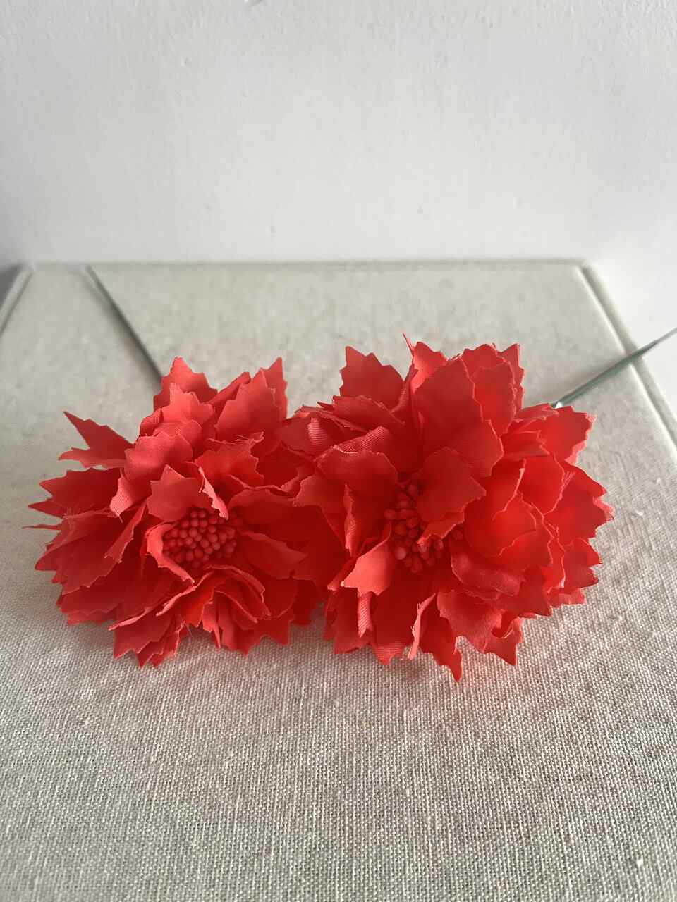 DALIA NIÑA CORAL