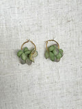 ARO FLOWER MEDIUM