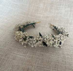 DIADEMA PANICULA Y EUCALIPTO