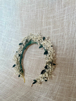 DIADEMA PANICULA Y EUCALIPTO