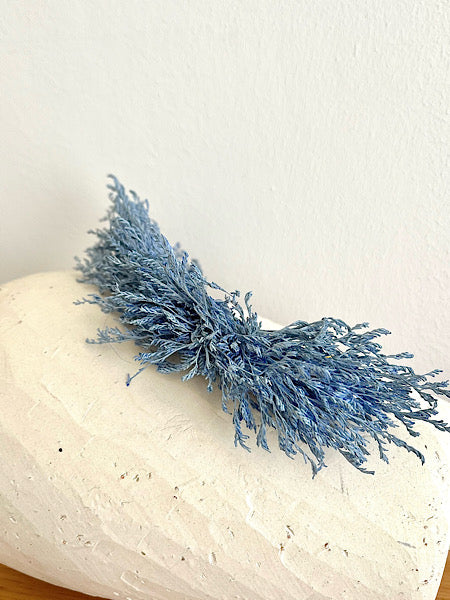 TOCADO LIMONIUM OXFORD