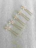 CONJUNTO FLOR PORCELANA
