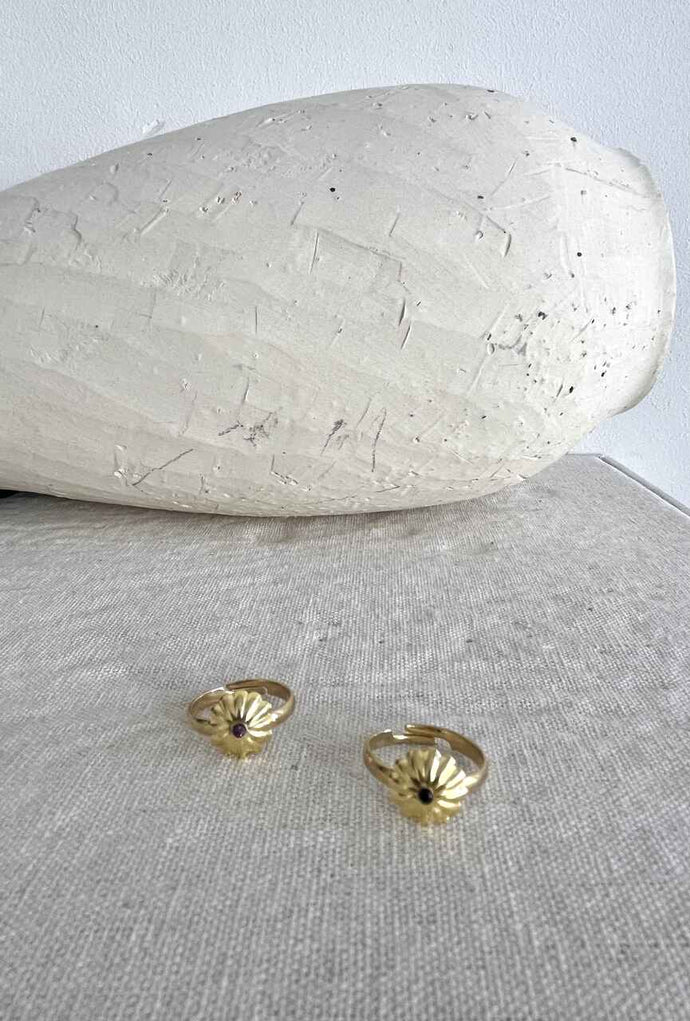 ANILLO CONVEX