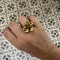 ANILLO PISTILO