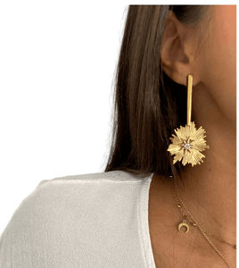 PENDIENTES ROUS