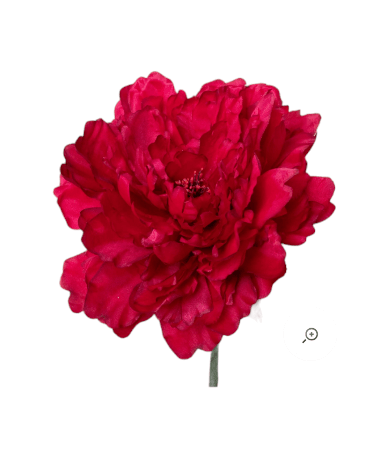 PEONIA ROJA