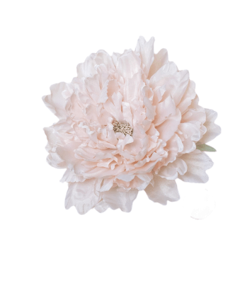 PEONIA BEIGE
