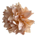 DALIA ROSA PEONIA