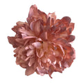 PEONIA ROSA VIEJO