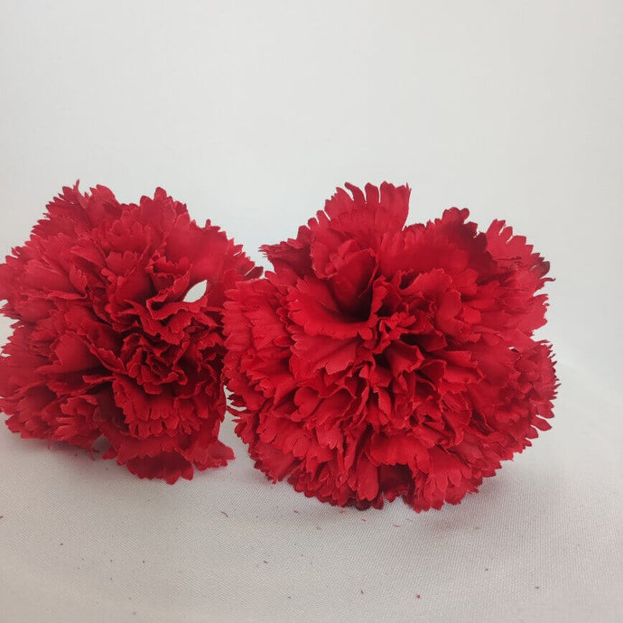 CLAVEL ROJO