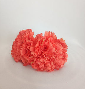 CLAVEL CORAL
