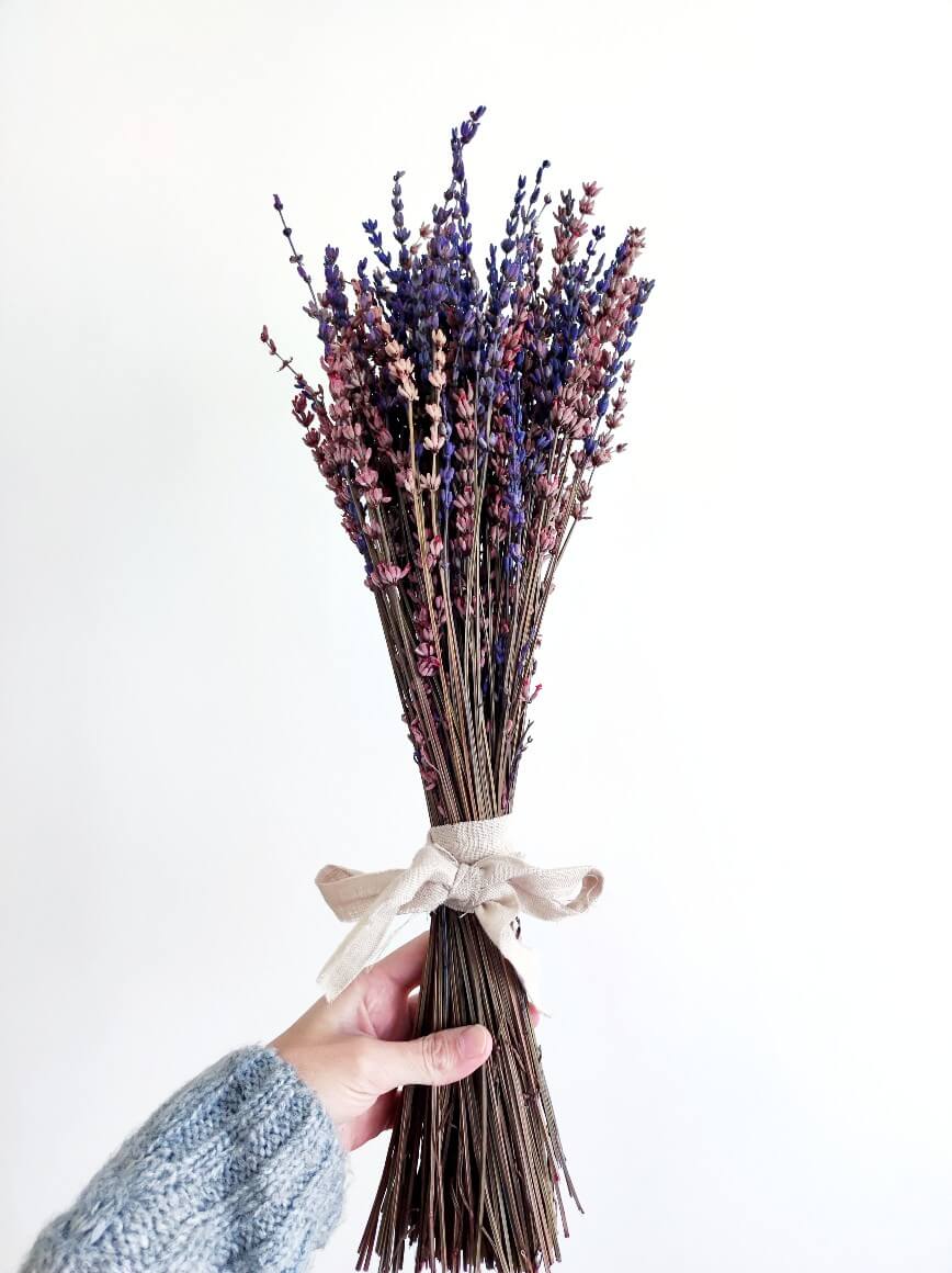 RAMITOS DE LAVANDA PRESERVADA