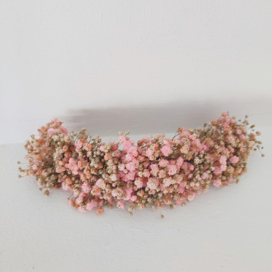 TOCADO PANICULATA PINK
