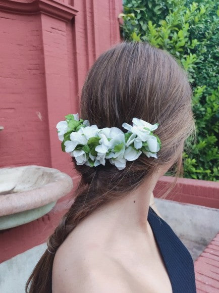 HORTENSIAS OLIVA