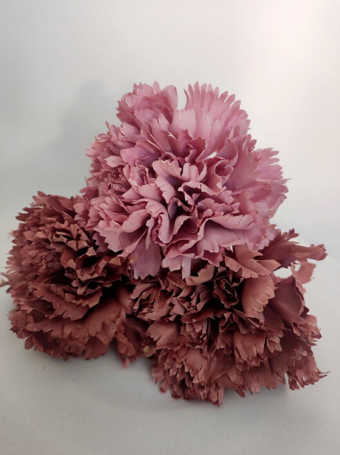 CLAVEL ROSA VIEJO