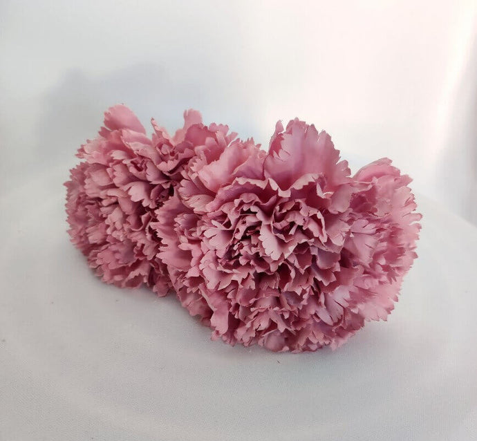 CLAVEL ROSA