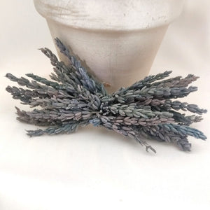 LAVANDA AZUL