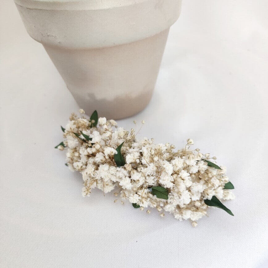 PASADOR PANICULATA