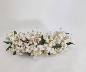 PASADOR PANICULATA