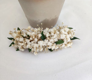 PASADOR PANICULATA