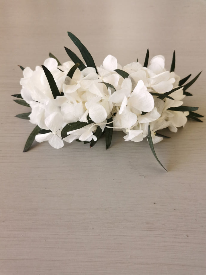 HORTENSIAS BLANCAS Y OLIVO