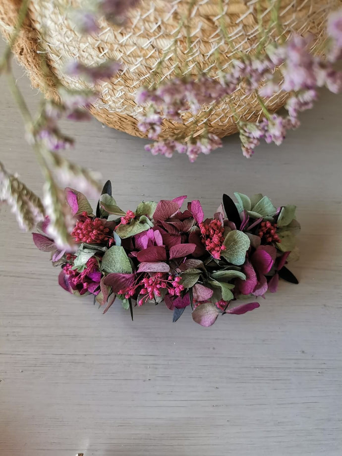 HORTENSIAS BICOLOR