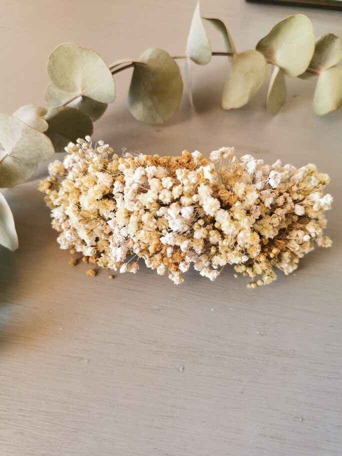 PASADOR DE PANICULATA NATURAL