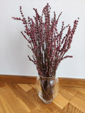RAMITOS DE LAVANDA PRESERVADA