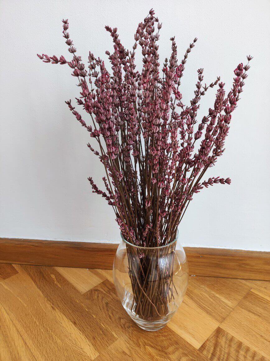 RAMITOS DE LAVANDA PRESERVADA