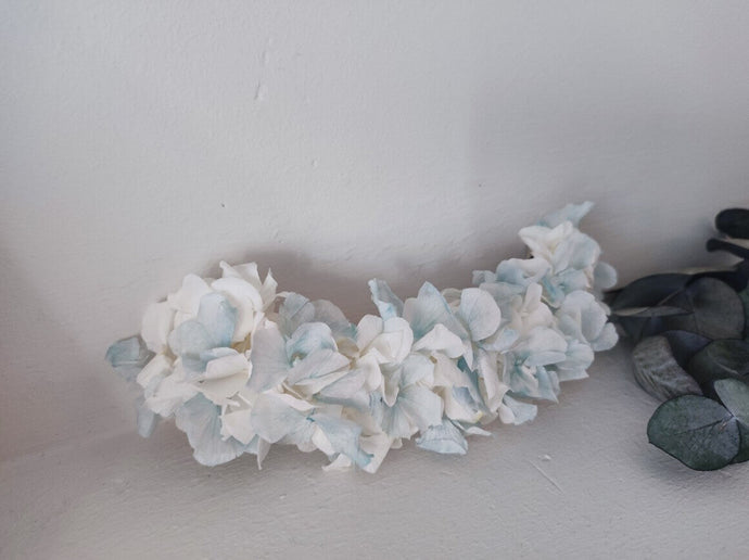 HORTENSIAS PRESERVADAS