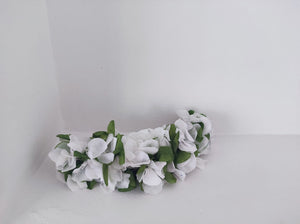 HORTENSIAS OLIVA