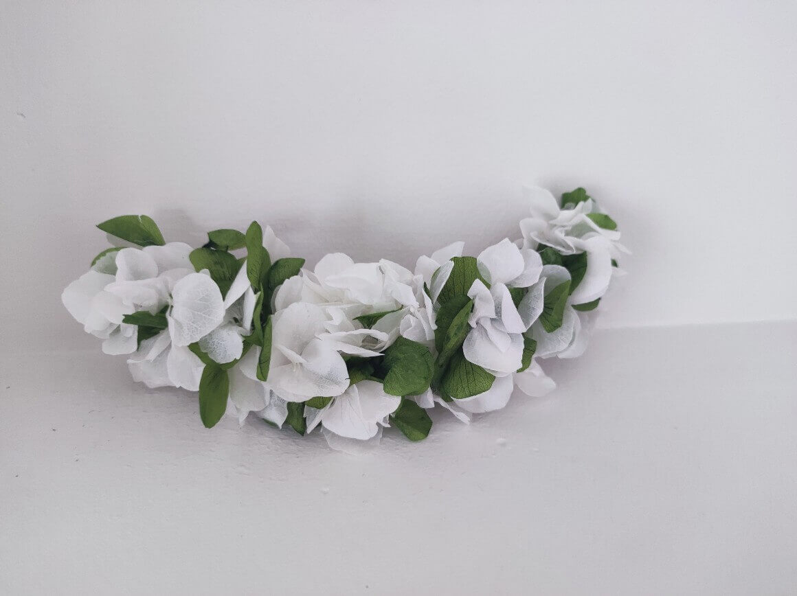 HORTENSIAS OLIVA