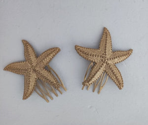 PEINA ESTRELLA DE MAR MAXI