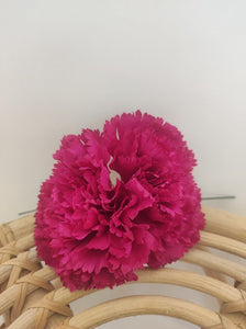CLAVEL FUCSIA