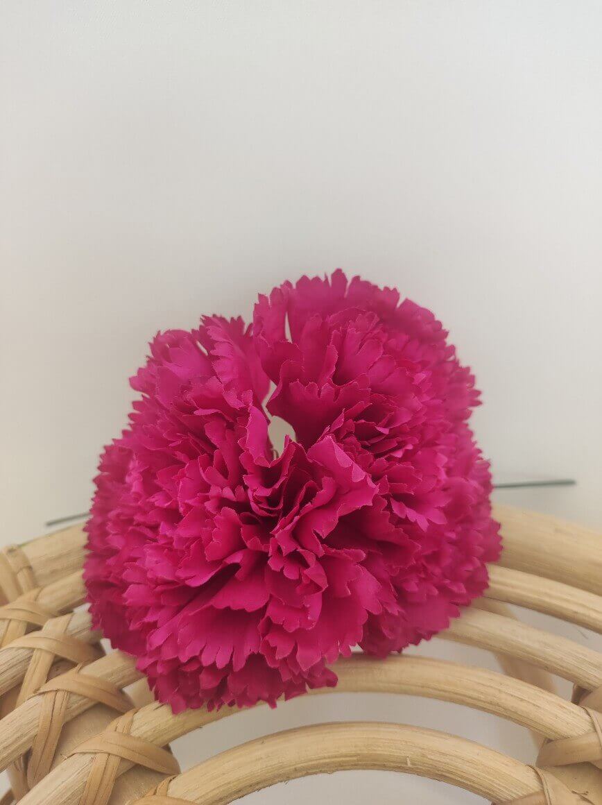 CLAVEL FUCSIA