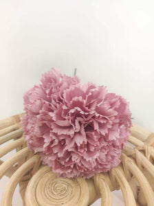 CLAVEL ROSA EMPOLVADO