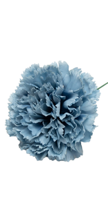 CLAVEL AZUL CELESTE